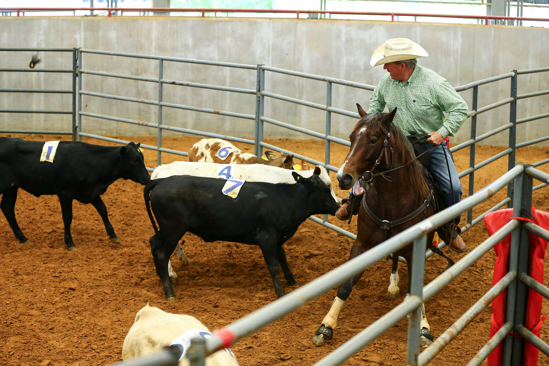 Ranch Sorting of America